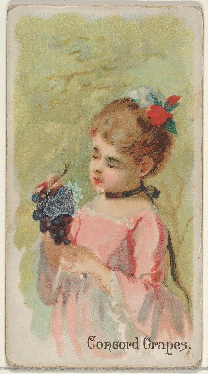 Concord Grapes, from the Fruits series (N12) for Allen & Ginter Cigarettes Brands — Allen & Ginter|George S. Harris & Sons