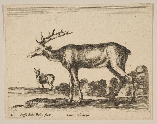 Plate 16: Stag, from "Various animals" (Diversi animali)