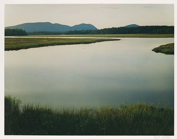 Tidal Marsh, McKinley, Mount Desert Island, Maine — Eliot Porter