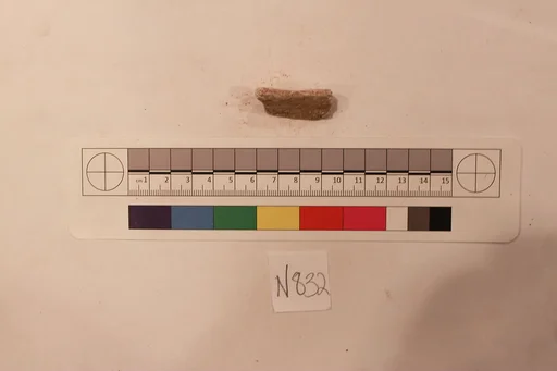 Stucco Fragment