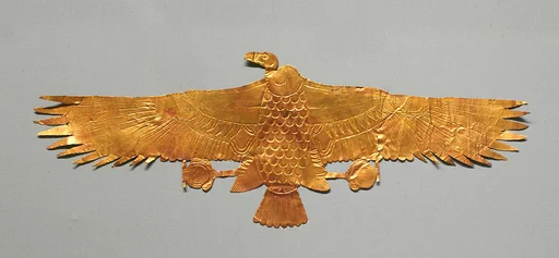 Vulture Pectoral