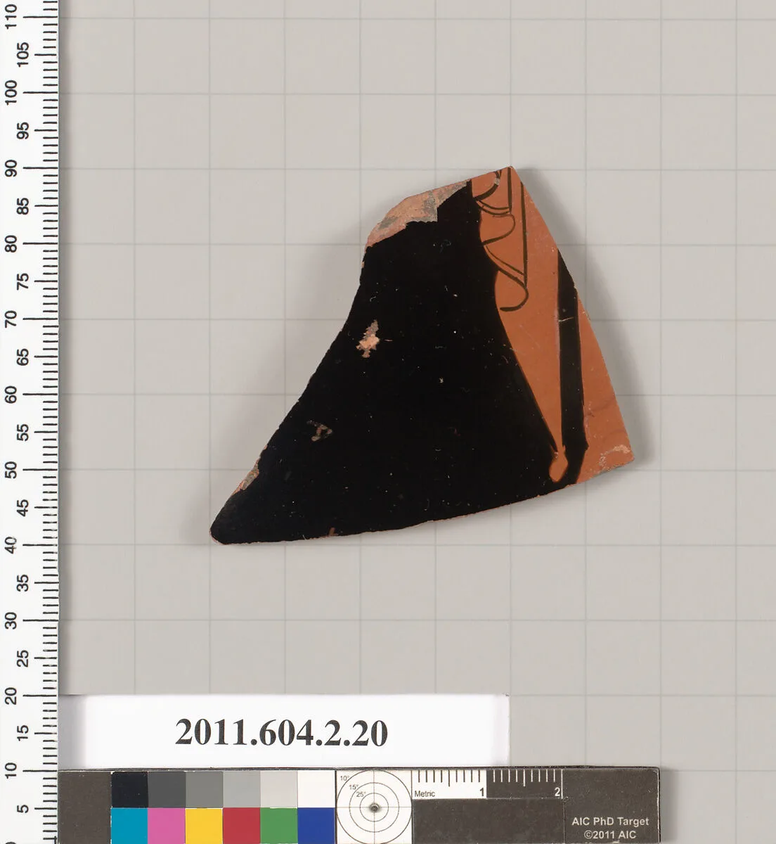 Terracotta fragment of a psykter (vase for cooling wine) — Unknown