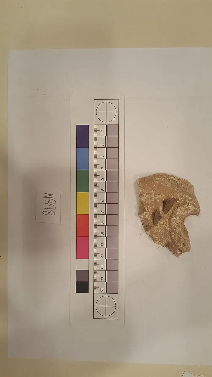 Stucco Fragment — Unknown