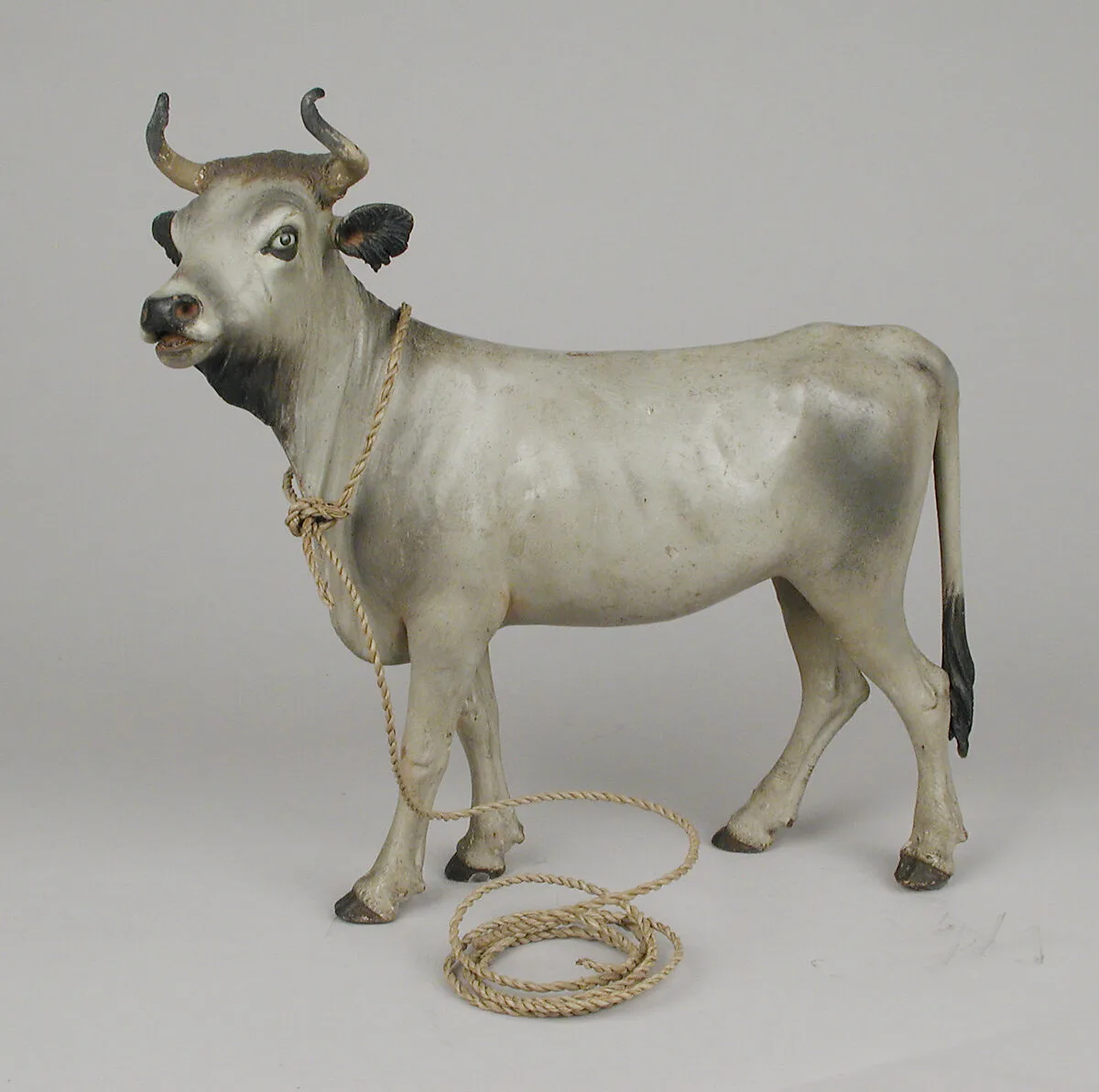 Young bull — Francesco Gallo