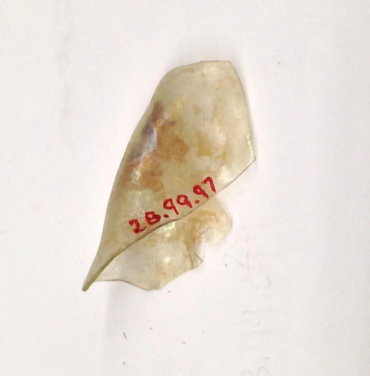 Fragment — Unknown
