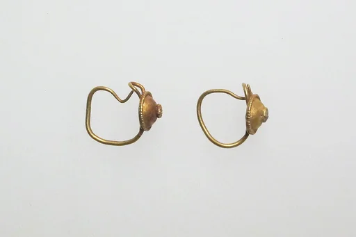 Earring with disks