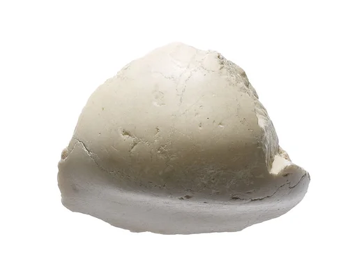 Chin (?) from a head