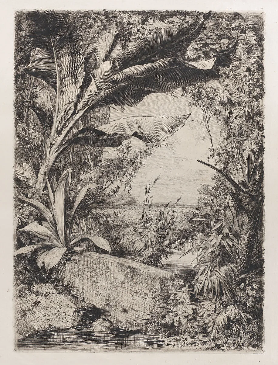 Tropical Plants — Jules-Ferdinand Jacquemart