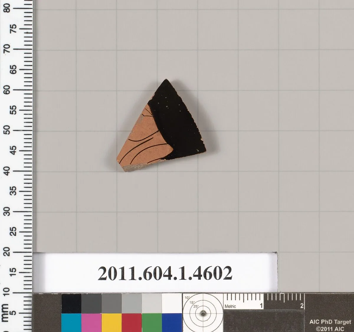 Terracotta fragment of a kylix (drinking cup) — Unknown