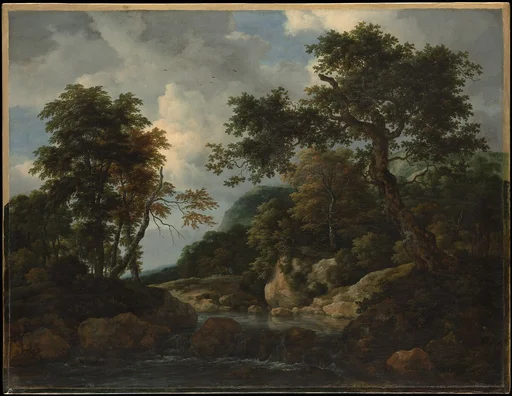 The Forest Stream