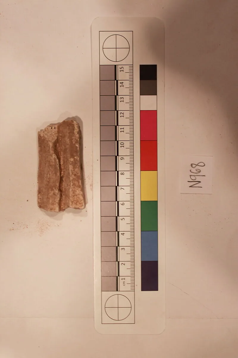 Stucco Fragment — Unknown
