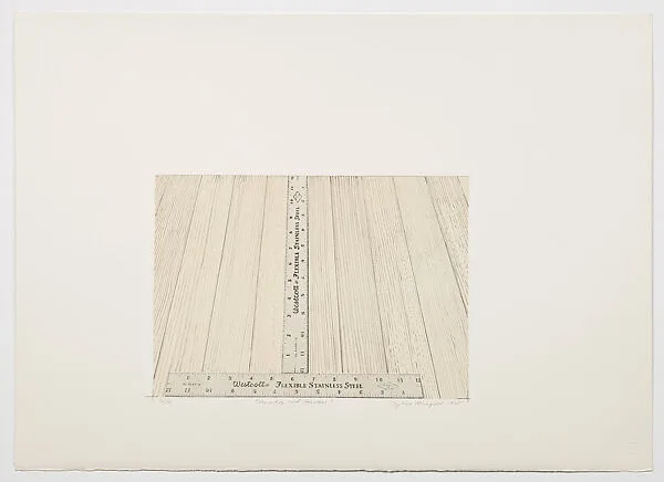 Flexible and Stainless — Sylvia Plimack Mangold