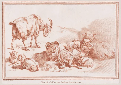 Chèvre, chevreaux et moutons
