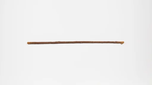 Staff, forked