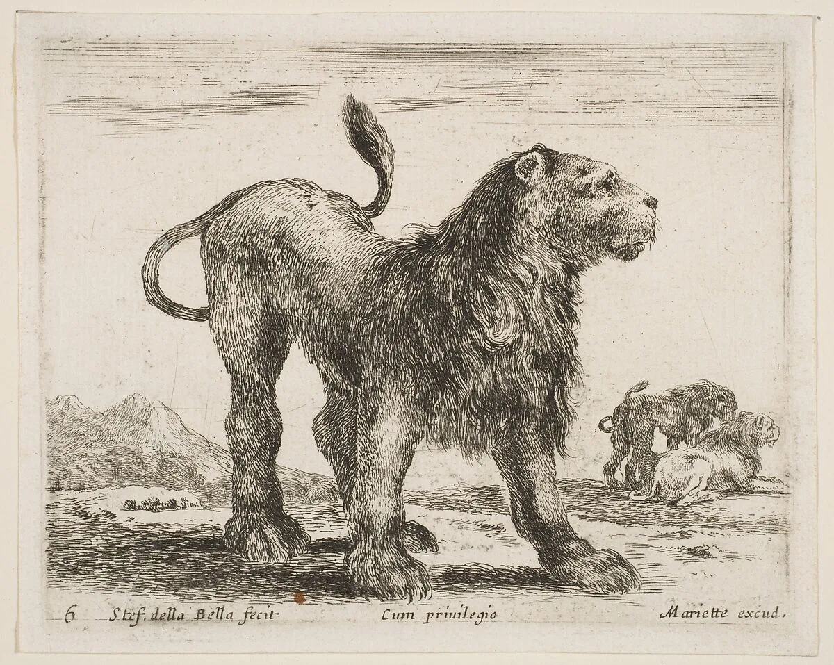 Lion, plate 6 from "Various Animals" (Diversi Animali) — Stefano della Bella|Pierre Mariette