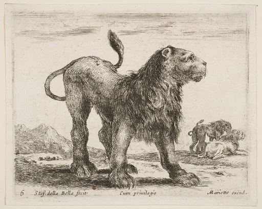 Lion, plate 6 from "Various Animals" (Diversi Animali)