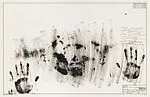 Skin with O'Hara Poem — Universal Limited Art Editions|Jasper Johns