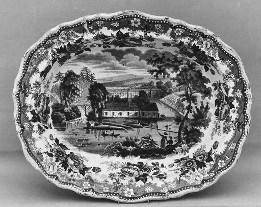 Dish