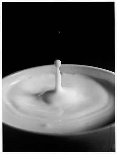 [Milk Drop Falling Into Reservoir of Milk (6/9)]