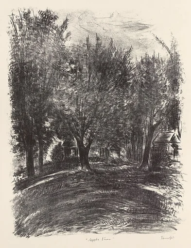Apple Trees