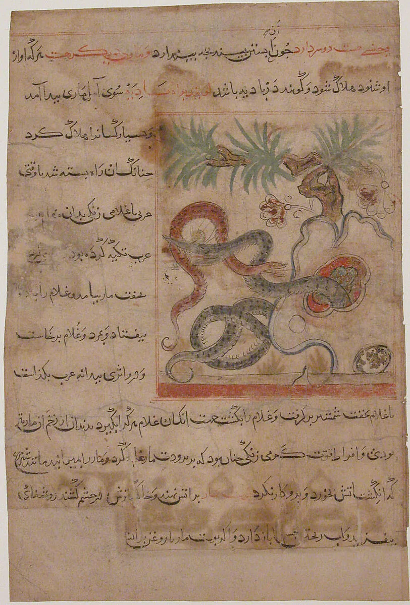 "Pair of Serpents", Folio from a Manafi' al-Hayawan (On the Usefulness of Animals) of Ibn Bakhtishu' — Ibn Bakhtishu'