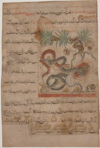"Pair of Serpents", Folio from a Manafi' al-Hayawan (On the Usefulness of Animals) of Ibn Bakhtishu'