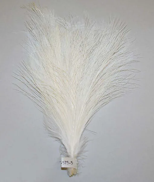 Aigrette — Unknown