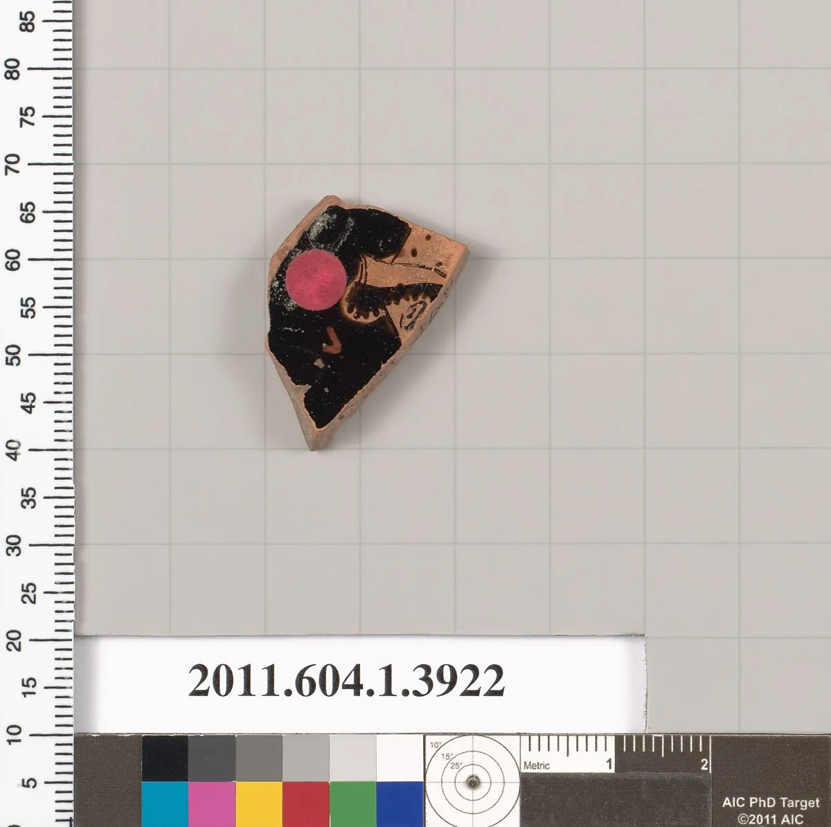 Terracotta fragment of a kylix (drinking cup) — Unknown