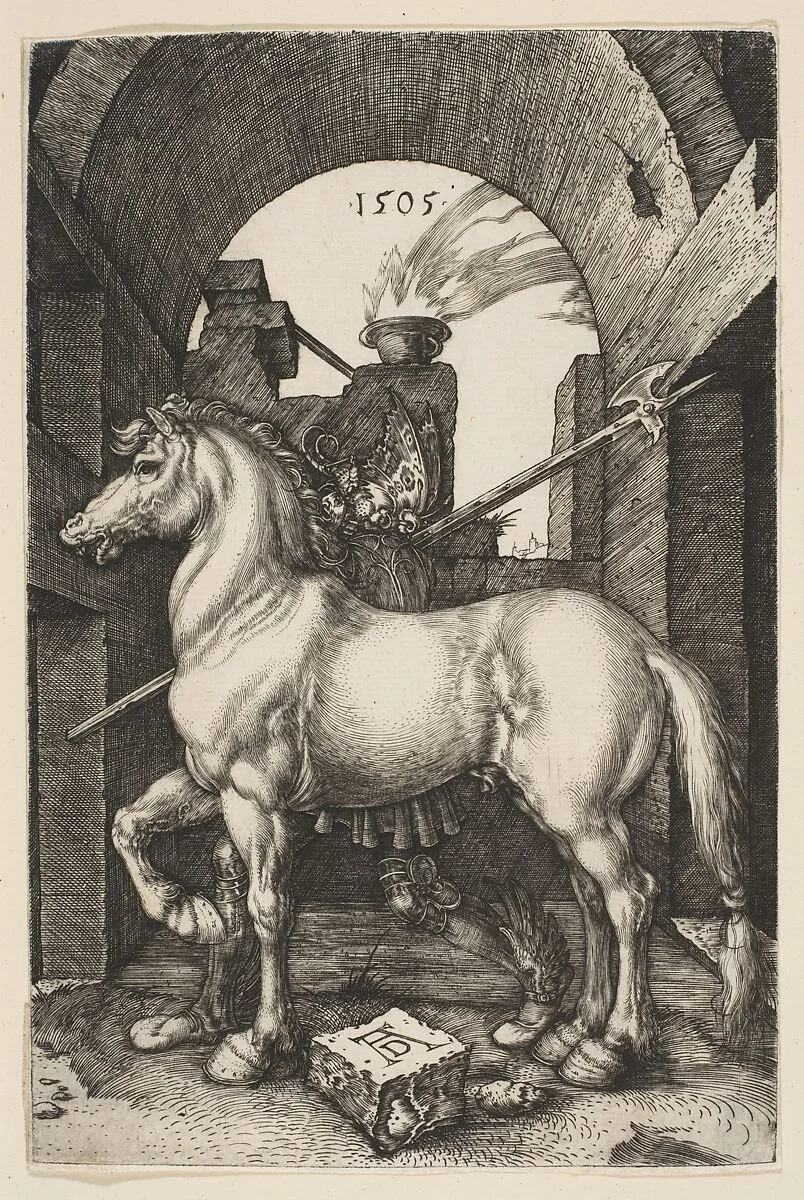 The Little Horse — Albrecht Dürer