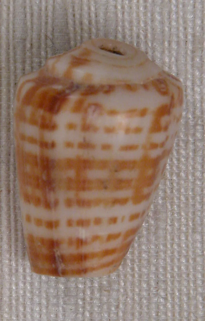 Bead — Unknown
