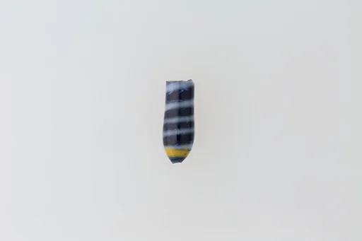 Part of an ear stud