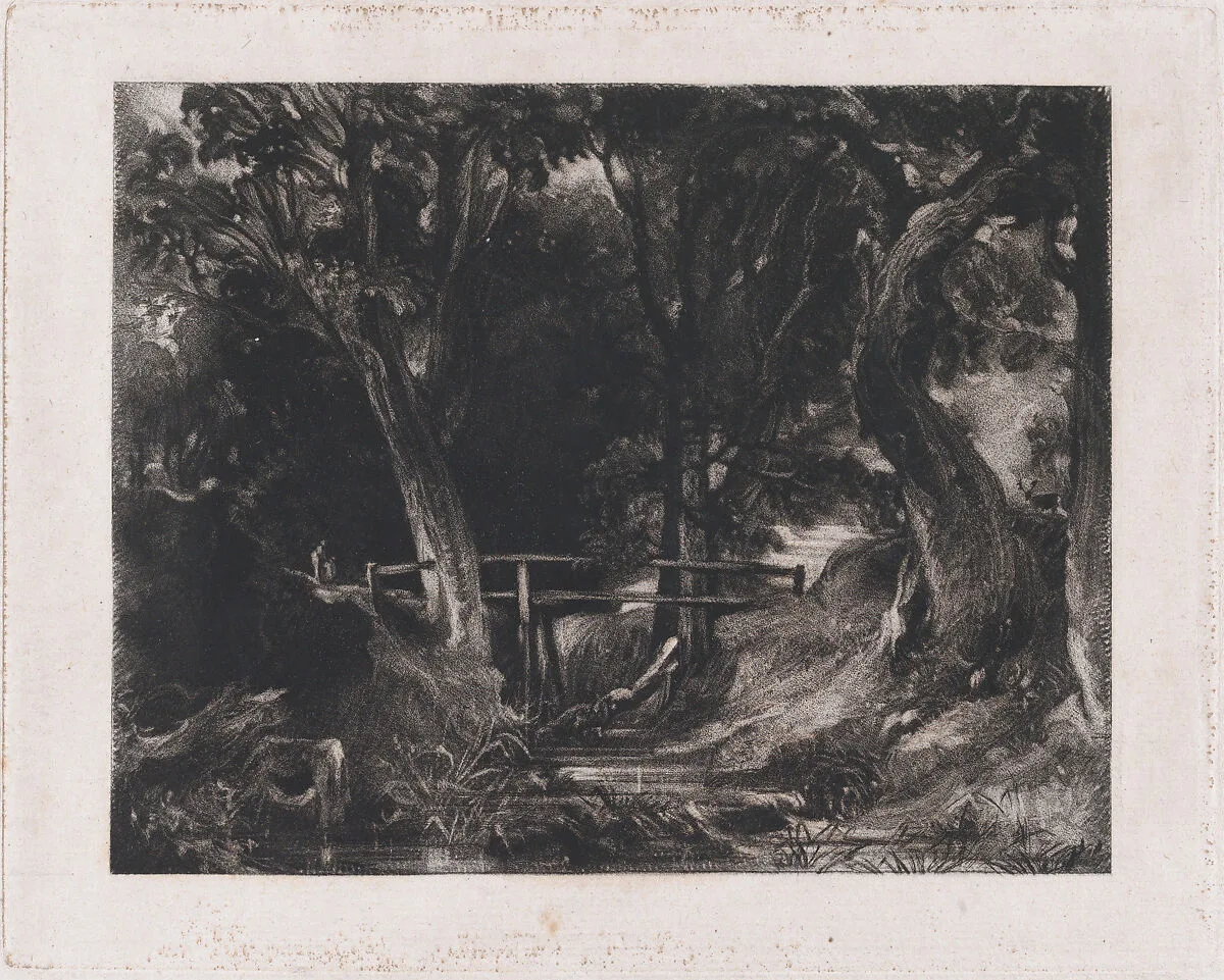 A Dell, Helmingham Park, Suffolk — David Lucas|John Constable