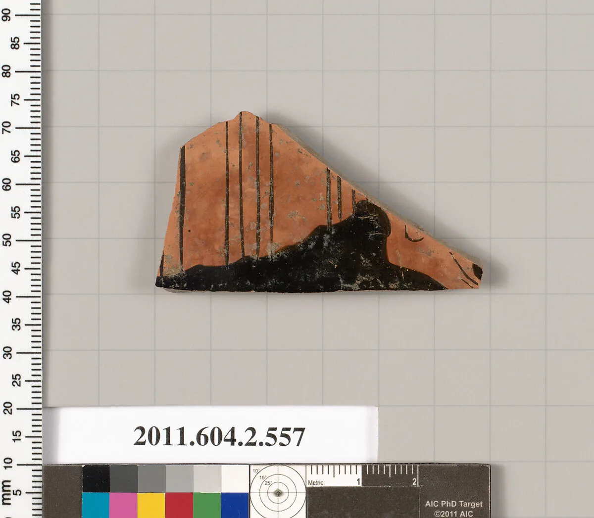 Terracotta fragment of a column-krater (bowl for mixing wine and water) — Unknown