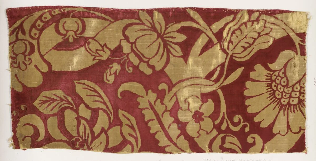 Fragment — Unknown