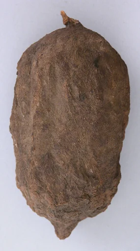 Petrified Lemon
