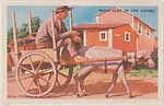 Sheep Cart of the Azores from Story of Transportation Educational Pictures (W608-6) — Unknown
