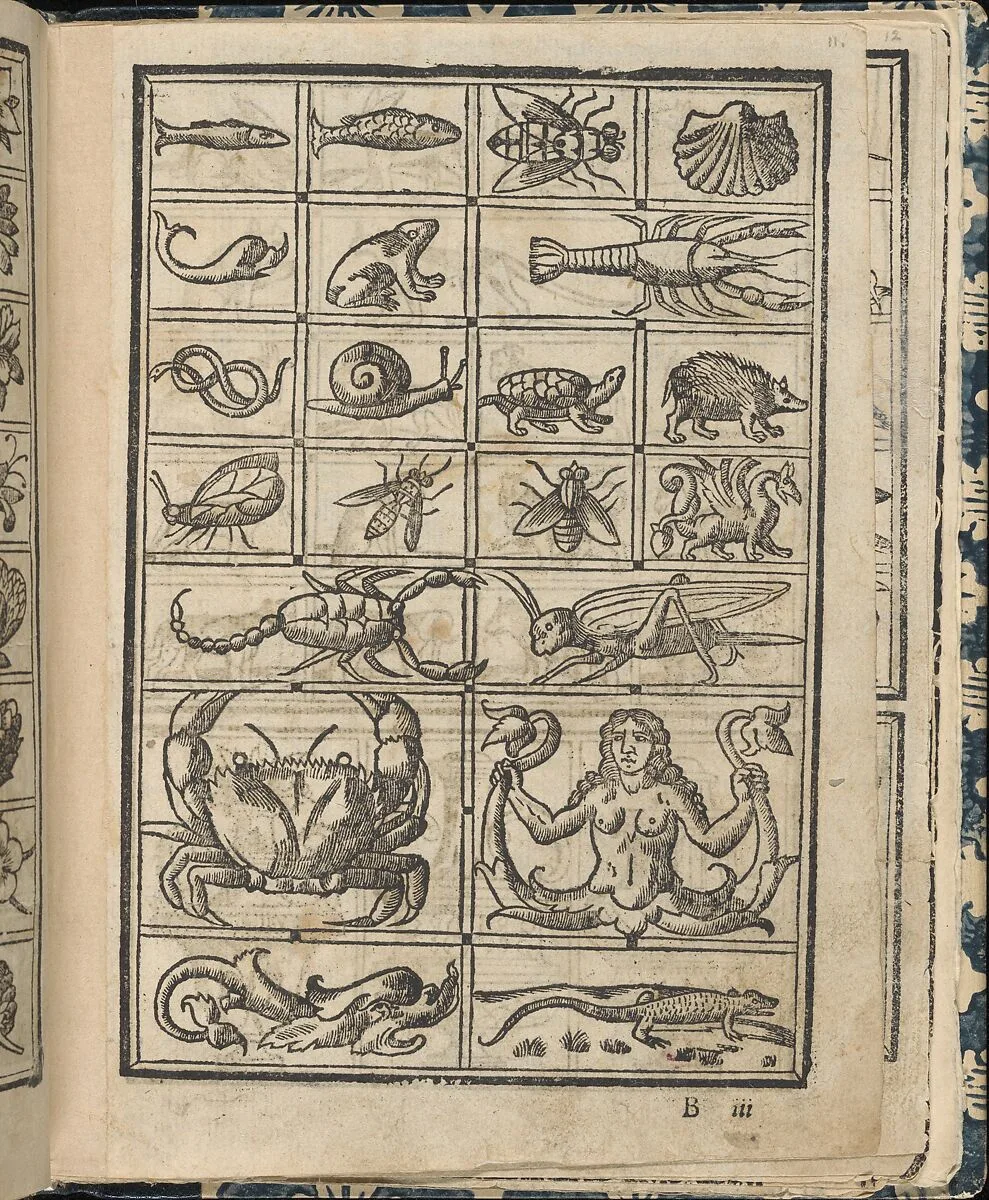 Essempio di recammi, page 11 (recto) — Giovanni Antonio di Nicolini da Sabio e i fratelli|Giovanni Antonio Tagliente