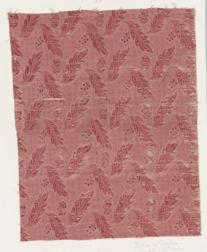 Fragment