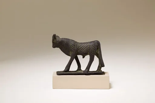 Apis bull