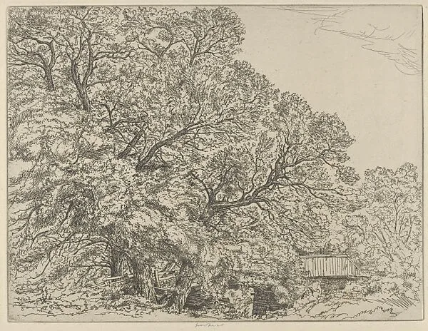 Alna Willows — Ernest Haskell