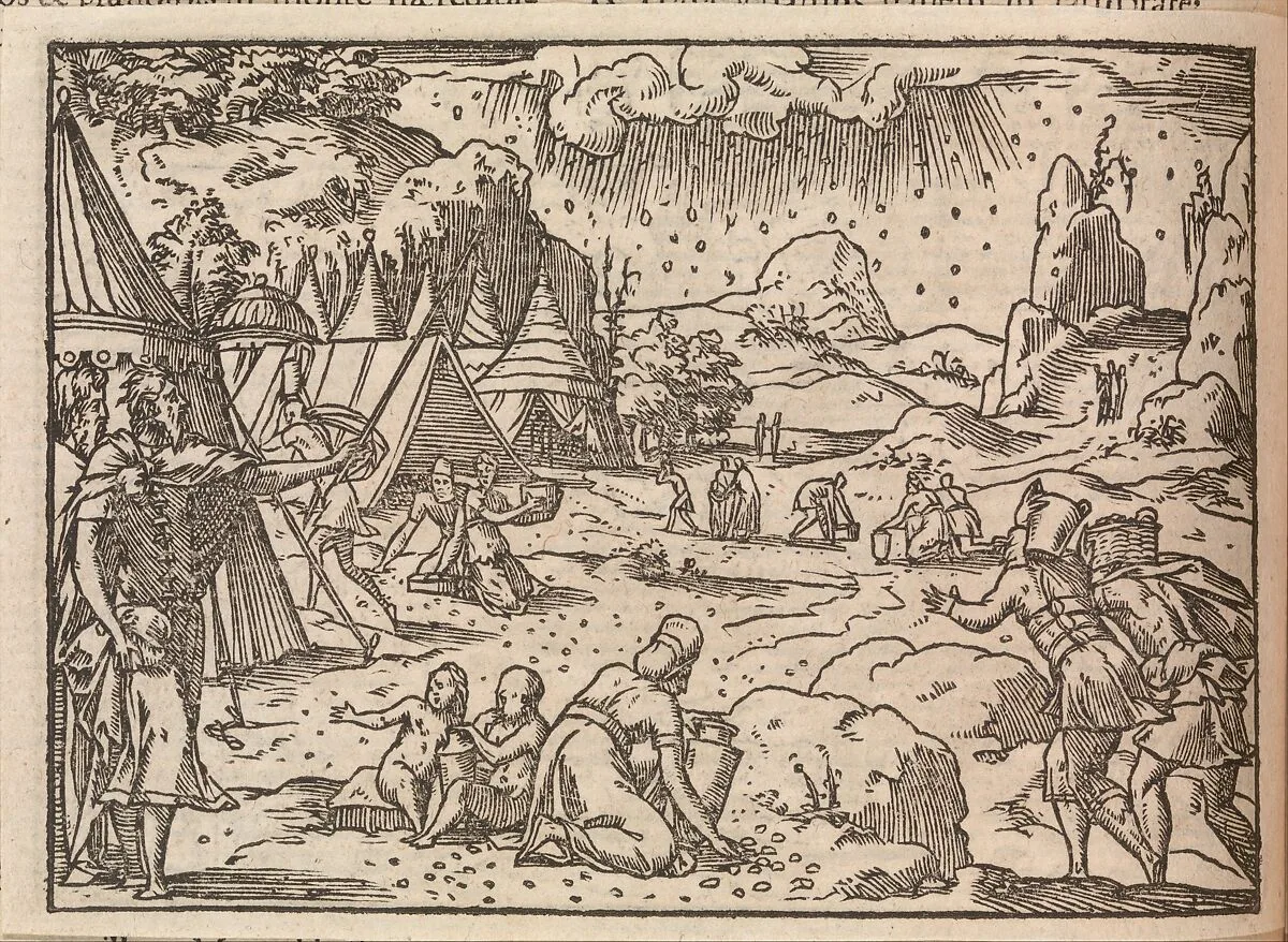 Biblia Sacra. . .Lugduni — Jean de Tournes|Bernard Salomon