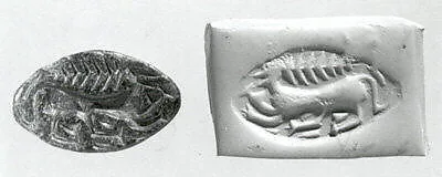 Carinated half-almond seal — Unknown