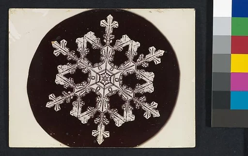 [Snow Crystal]