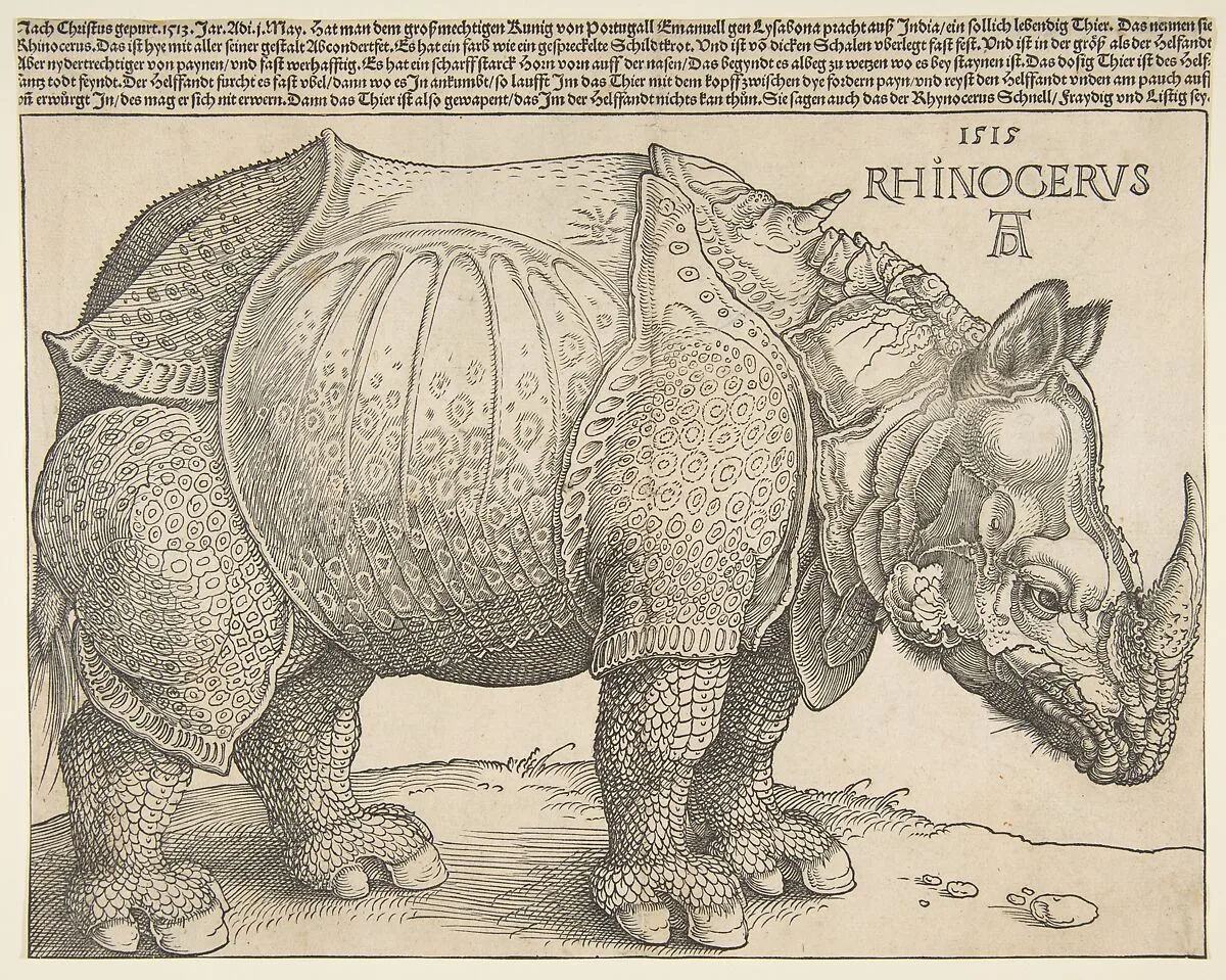 The Rhinoceros — Albrecht Dürer