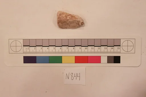 Stucco Fragment
