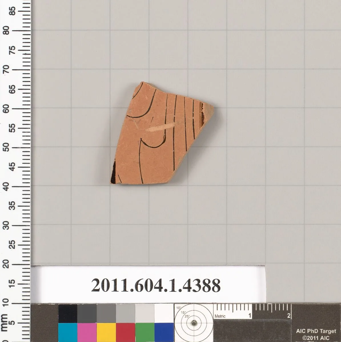 Terracotta fragment of a kylix (drinking cup) — Unknown