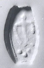 Drilled half almond seal