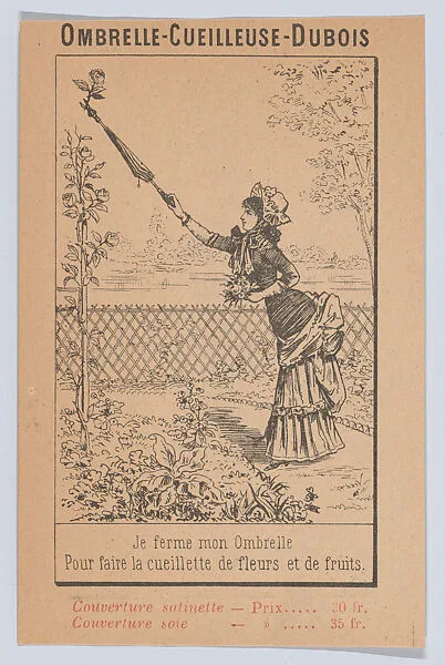 The Dubois Parasol Pruner — M. J. Baudry