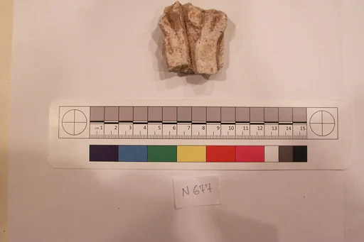 Stucco Fragment