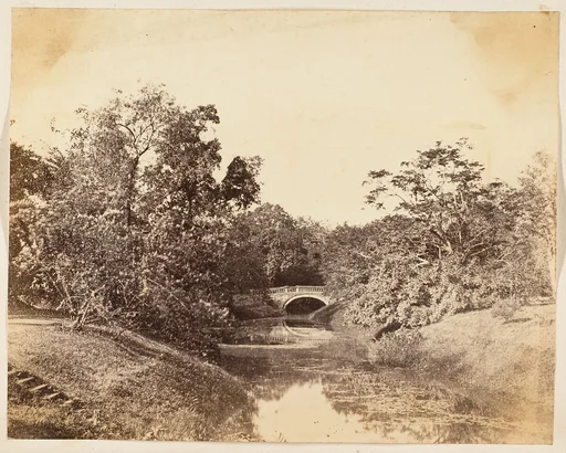 [Botanical Gardens, Calcutta]